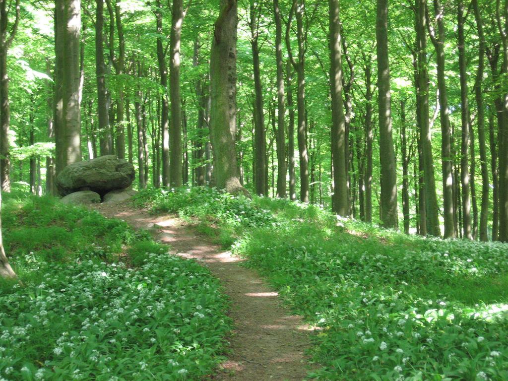קורסור Lystskov Camping & Cottages מראה חיצוני תמונה